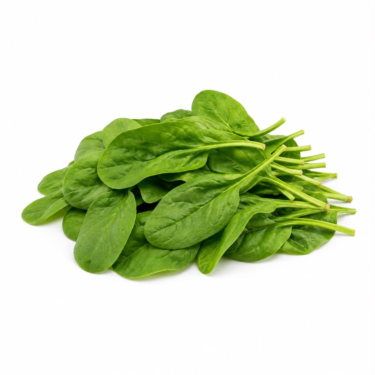 Spinach (Palak)